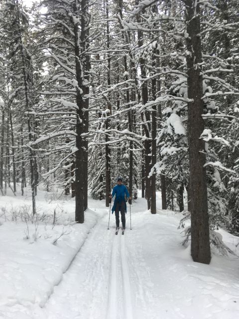 Lake Louise: Cross Country Skiing Lesson with Tour - Why cross-country skiing is a fine match for Lake Louise