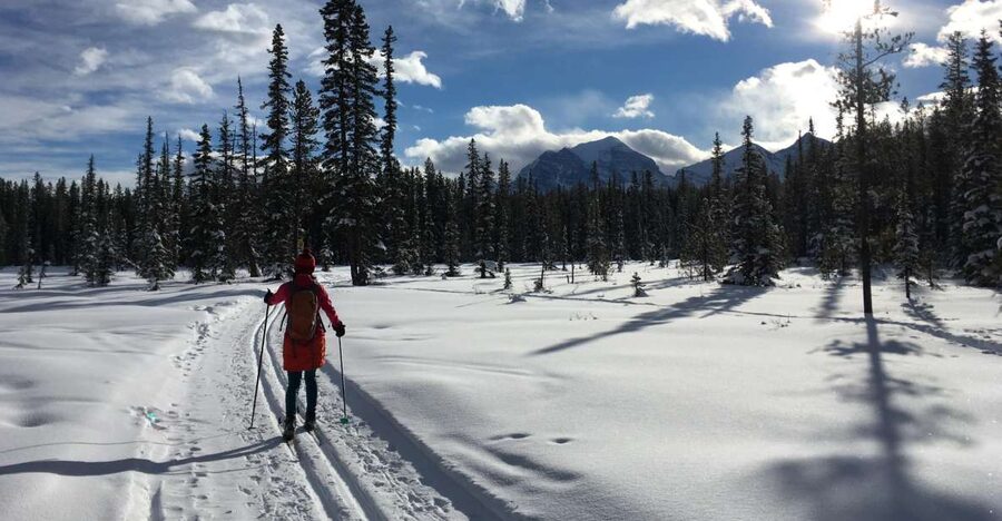 Lake Louise: Cross Country Skiing Lesson with Tour - The first two-hour guided tour