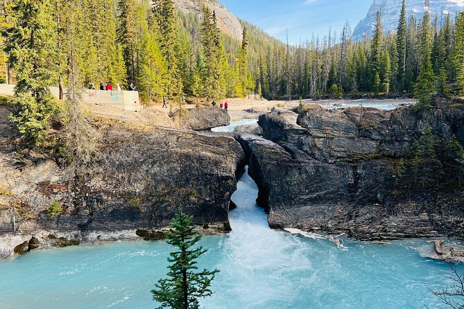 Lake Louise, Moraine/Bow, Emerald & Peyto - 4 Lakes in Banff - Peyto Lake earns its place near the finish