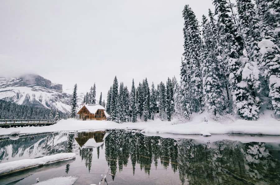 Lake Louise, Moraine, & Emerald: From Calgary/Canmore/Banff - Five headline sights without the parking headache