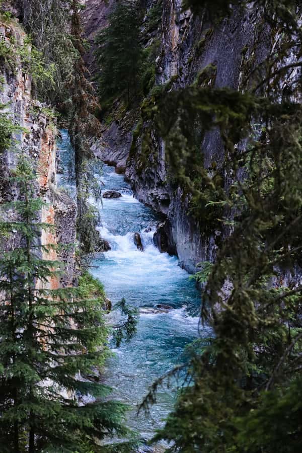 Lake Louise,Moraine,Emerald Lake,Johnston Canyon & BanffTour - Johnston Canyon turns sightseeing into a real walk