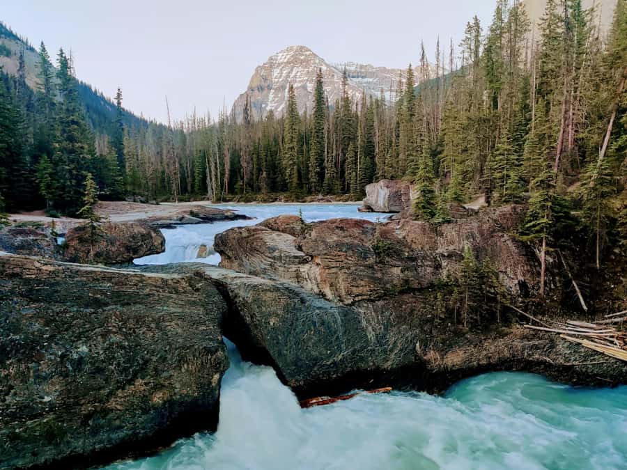 Lake Louise,Moraine,Emerald Lake,Johnston Canyon & BanffTour - Transport and group size shape the day