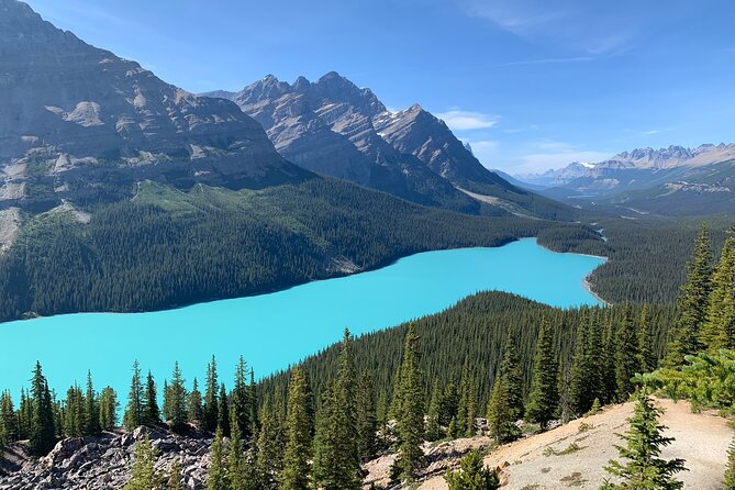 Lake Louise, Moraine Lake and the Icefields Parkway Full-Day Tour - Bow Lake: Quiet Water Beneath Bow Glacier