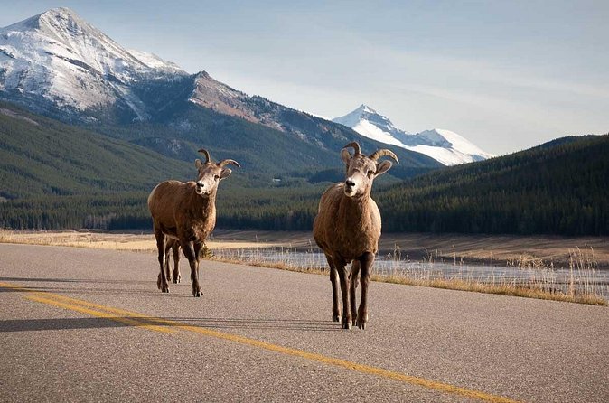 Lake Louise Moraine Lake Icefield Parkway Full Day Private Tour - Lake Minnewanka closes the day near Banff