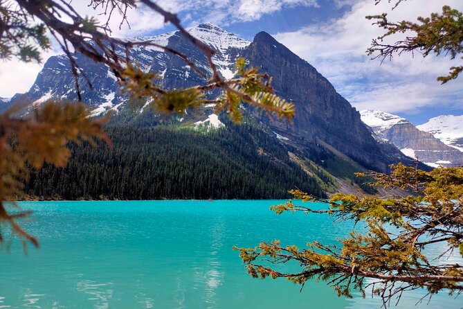 Lake Louise Moraine Lake Johnston Canyon 1.5h Half Day Tour - Lake Louise: a shorter stop with a big view