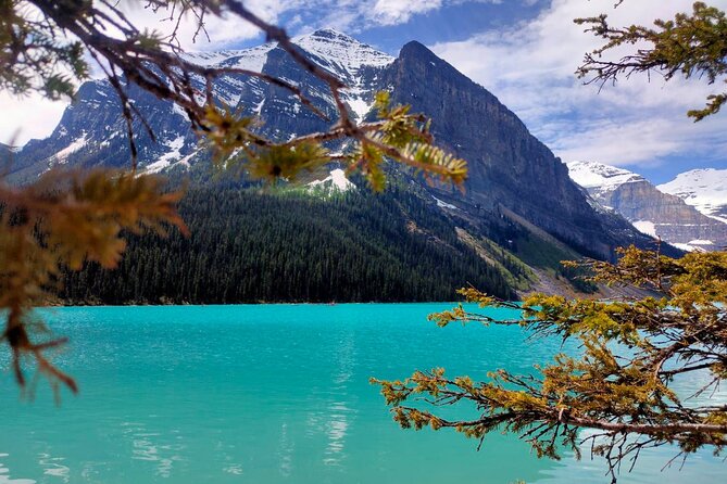 Lake Louise, Moraine Lake, Peyto Lake, Crowfoot, Johnston Canyon - What this one-day Rockies route actually delivers
