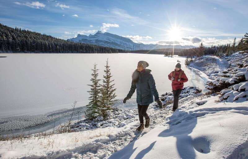 Lake Louise, Peyto Lake, Johnston Canyon & Icefields Parkway - Bow Lake gives you a short walk beside glacial water