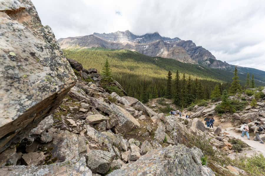 Lakes Moraine, Louise, Emerald, Johnston Canyon & Yoho Tour - Who should book this Banff and Yoho day trip