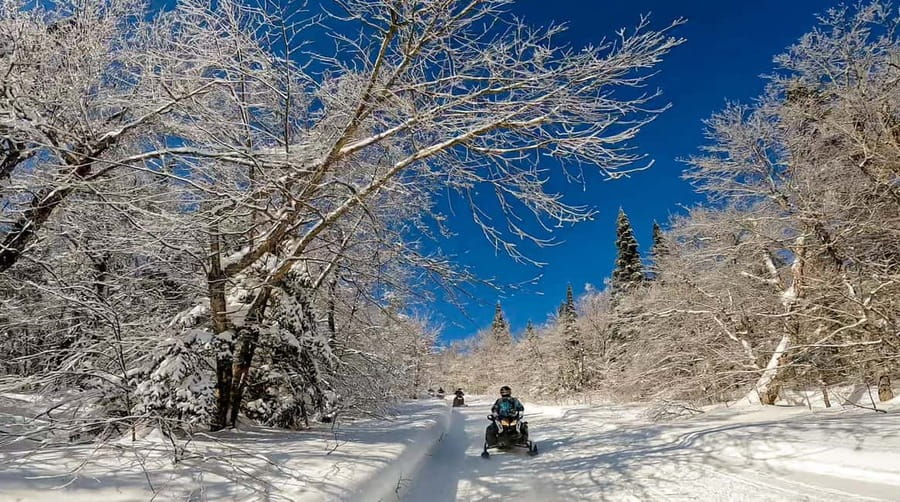 Laurentians: Snowmobile Guided Tour - The real cost at $209 for two