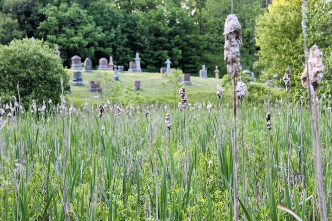 Layers of Natural History: Picton Nature Self-Guided Audio Tour - European Settlement and Picton’s Changing Identity