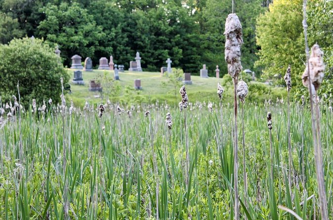 Layers of Natural History: Picton Nature Self-Guided Audio Tour - Delhi Park’s Remarkable Second Life