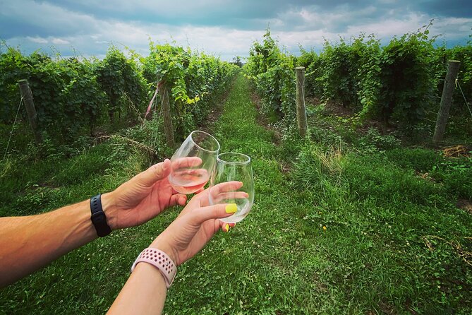 Lunch in the Vineyard: A Scenic Niagara Wine Tour Experience - Queenston Mile and the Niagara Escarpment Views