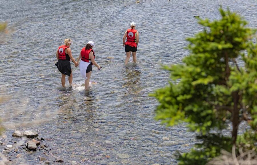 Lunenburg: Zodiac Wildlife Tour with Naturalist Guide - Watching seals, seabirds, and shore wildlife