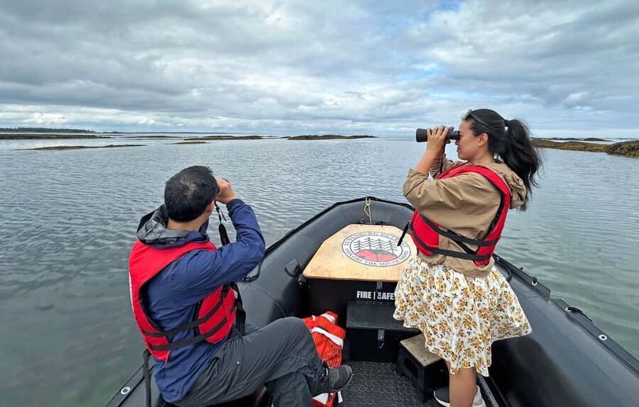 Lunenburg: Zodiac Wildlife Tour with Naturalist Guide - Snacks, drinks, and the small touches