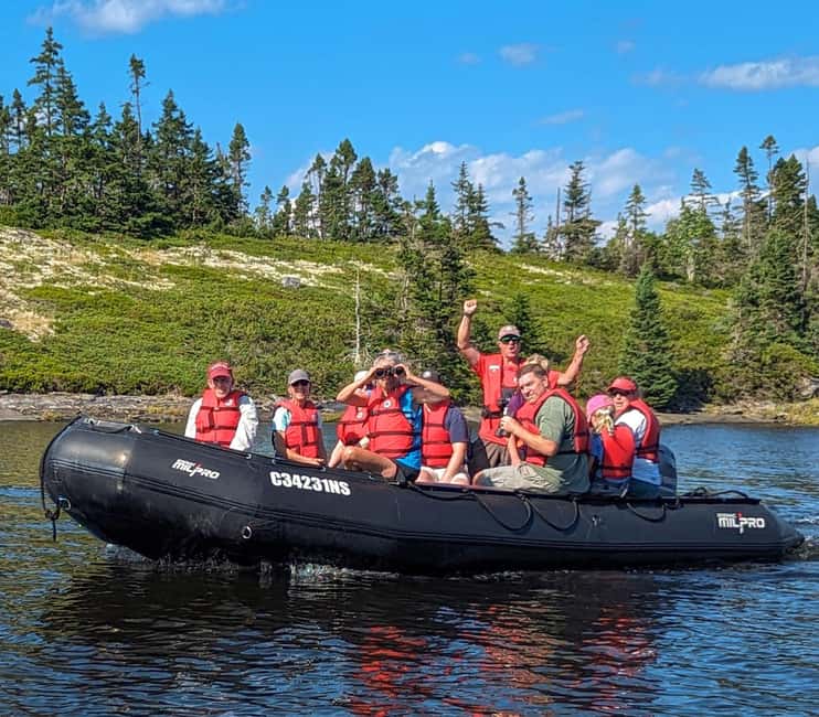 Lunenburg: Zodiac Wildlife Tour with Naturalist Guide - What the Zodiac ride feels like