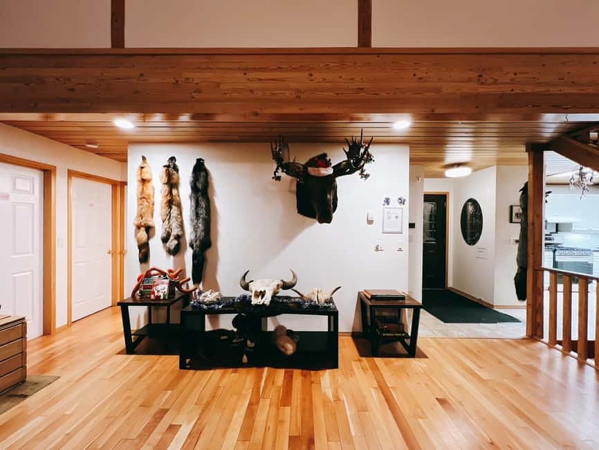 Madeline Lake: Aurora Lodge and Aurora Chasing Tour - Practical ways to prepare