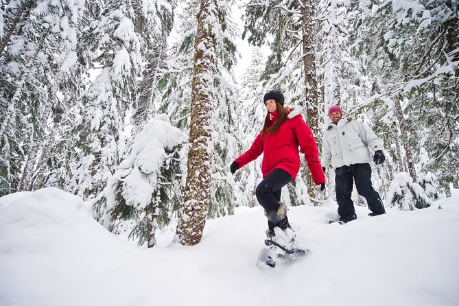Medicine Trail Snowshoe Tour - Getting used to snowshoes before the trail