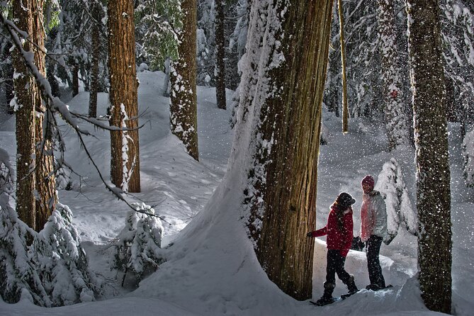 Medicine Trail Snowshoe Tour - Who will enjoy the Medicine Trail most?