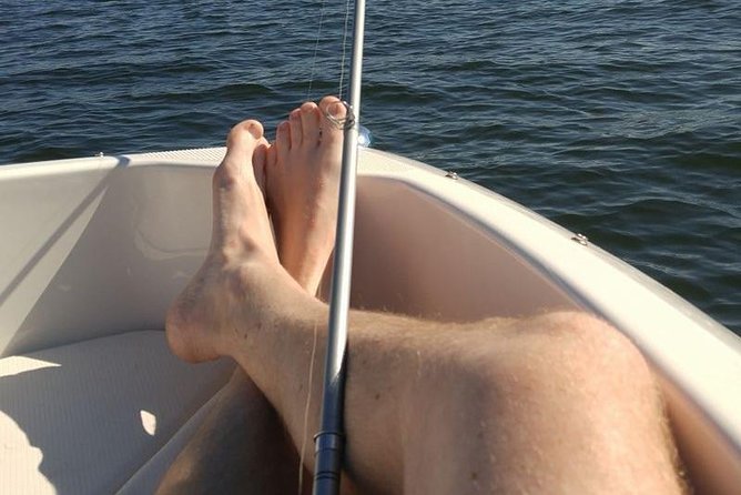 Meet The Seals Boat Tour - Travel by boat to a Secret Seal Cove - Reaching the secret seal cove