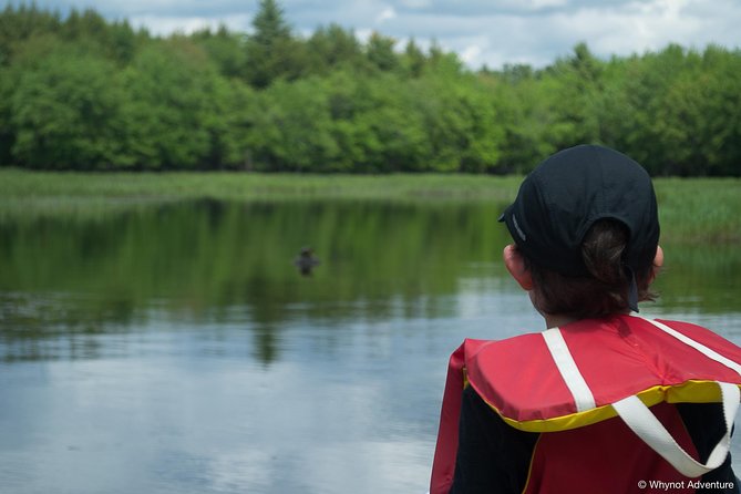 Mersey River Quickie Adventure - 2 Hours - Amanda and the guide-led approach