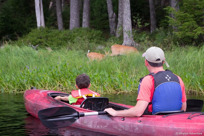 Mersey River Quickie Adventure - 2 Hours - The real value of CA$66.92