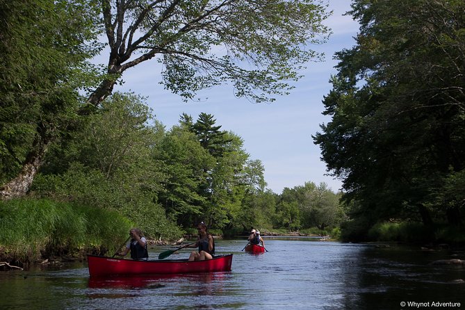 Mersey River Quickie Adventure - 2 Hours - Who will enjoy this Mersey River trip