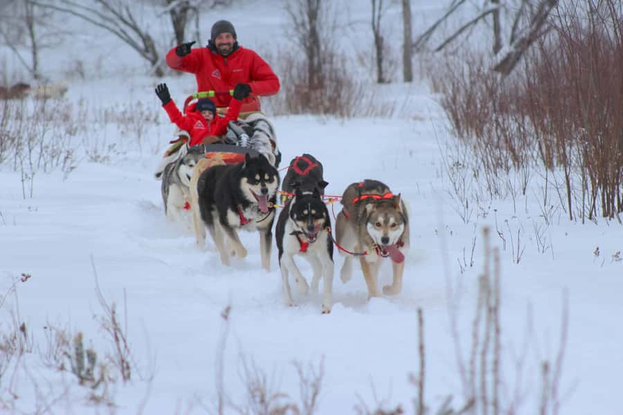 Mont-Tremblant: Dogsledding Valley Adventure - Key points to know before booking
