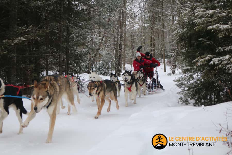 Mont-Tremblant: Dogsledding Valley Adventure - Returning to the kennel for dogs, puppies, and soup