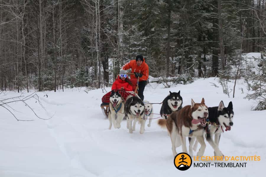 Mont-Tremblant: Dogsledding Valley Adventure - How the $153 price works out