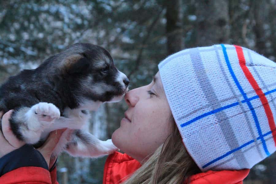 Mont-Tremblant: Dogsledding Valley Adventure - Who should book this family dogsledding trip