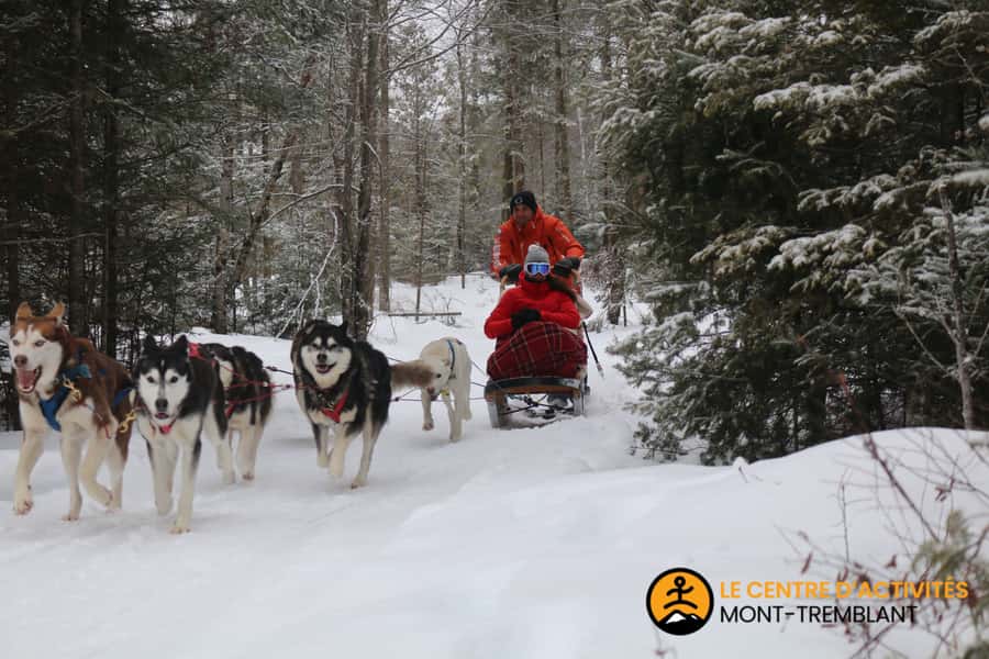 Mont-Tremblant: Dogsledding Valley Adventure - Timing, language, and getting there