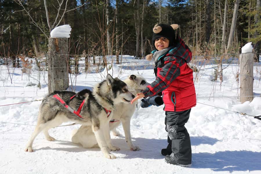 Mont-Tremblant: Dogsledding Valley Adventure - What to wear and pack