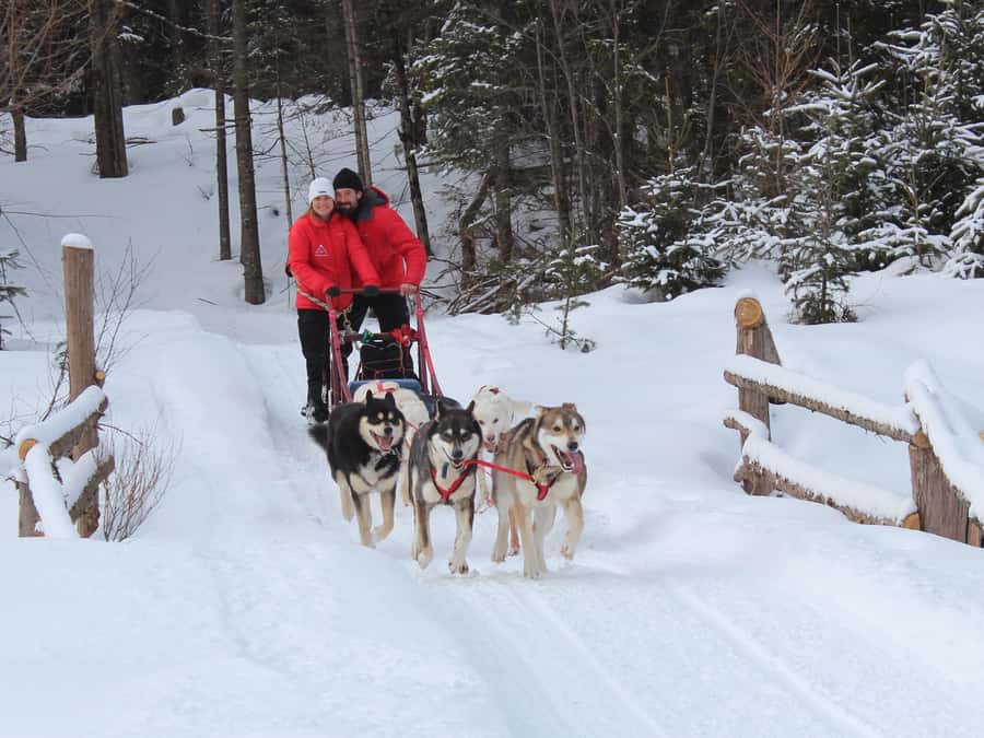 Mont-Tremblant: Dogsledding Valley Adventure - Learning to drive a dog team