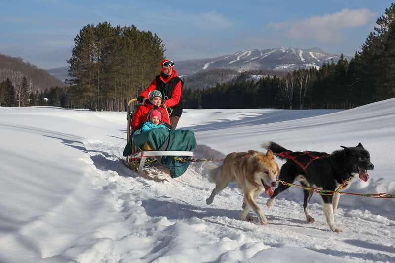 Mont-Tremblant: Guided Dogsledding Tour with Hot Chocolate - One Hour Through Pine Forest and Valley Trails