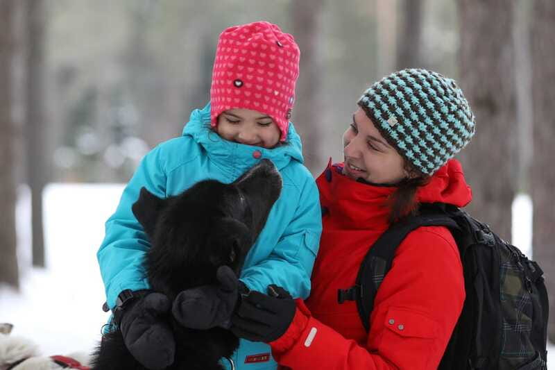Mont-Tremblant: Guided Dogsledding Tour with Hot Chocolate - Is $213 a Fair Price for One Hour?