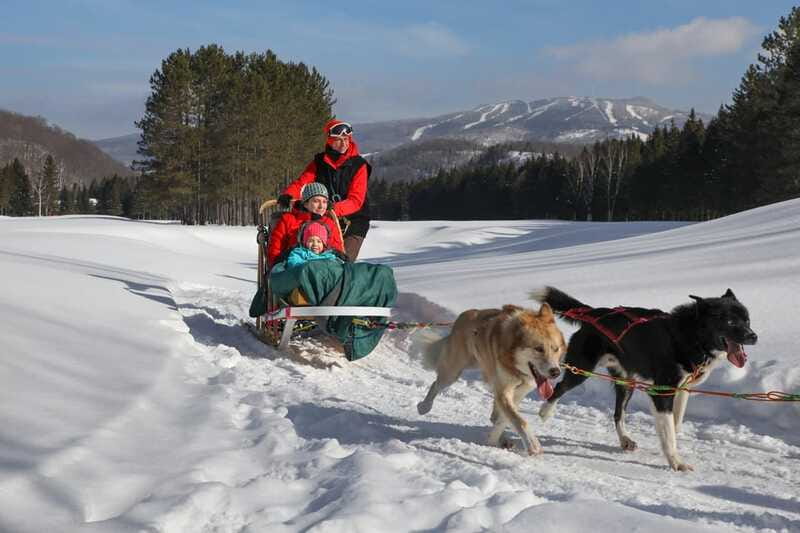 Mont-Tremblant: Guided Dogsledding Tour with Hot Chocolate - Who Will Enjoy This Mont-Tremblant Activity?