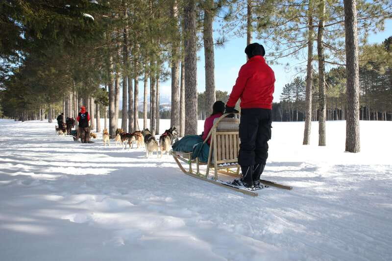 Mont-Tremblant: Guided Dogsledding Tour with Hot Chocolate - Driving the Team, Riding as a Passenger