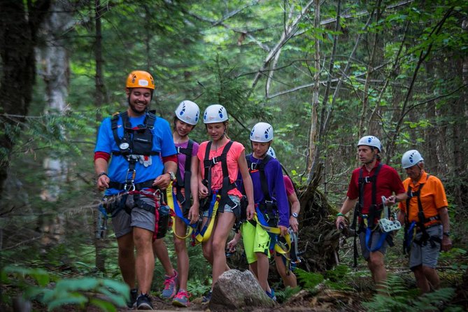 Mont Tremblant Guided Zipline Tour - Is the $142.58 Price Fair?