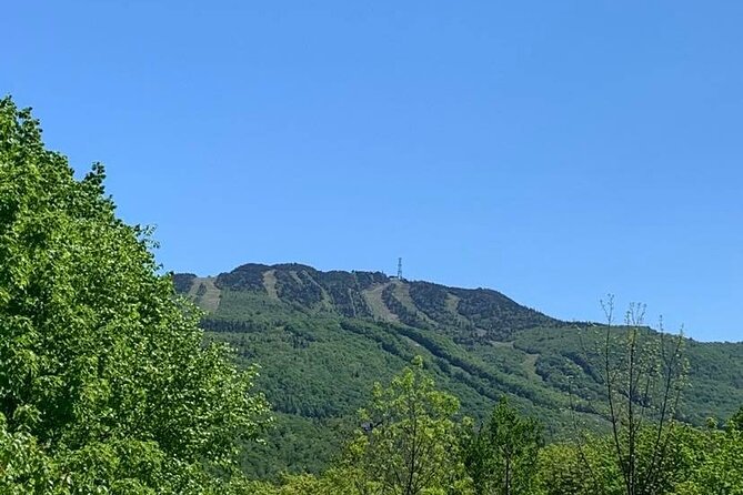 Mont Tremblant Private Day Tour from Montreal - Lunch is your choice, and your cost