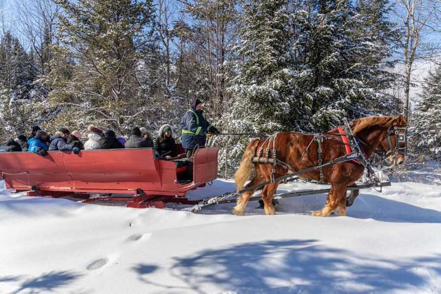 Mont-Tremblant: Sleigh Ride w/ Storytelling & Hot Chocolate - A one-hour ride with more character than a simple sleigh trip