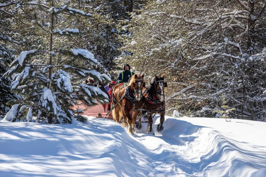 Mont-Tremblant: Sleigh Ride w/ Storytelling & Hot Chocolate - Into the forest with legends and folk songs