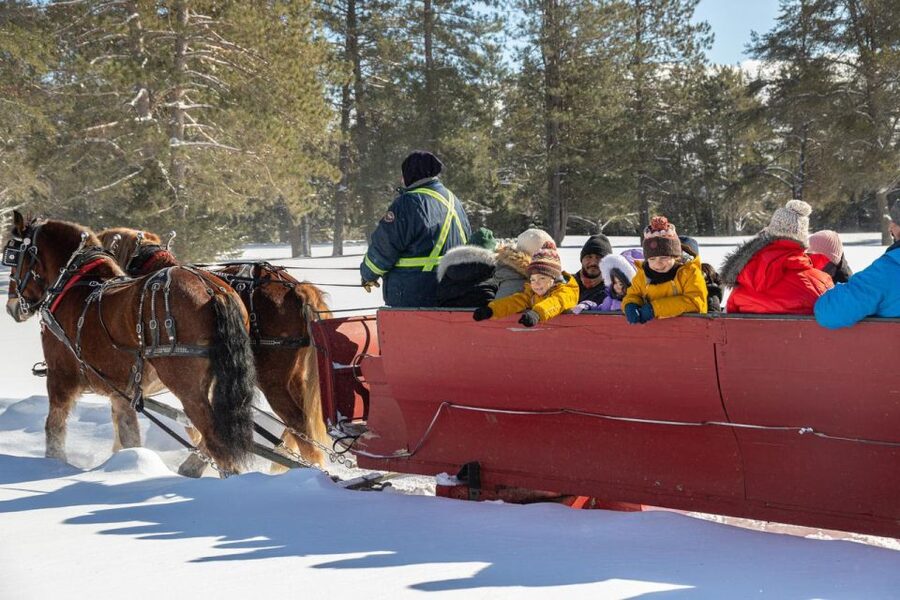 Mont-Tremblant: Sleigh Ride w/ Storytelling & Hot Chocolate - Hot chocolate, blankets, and the maple touch