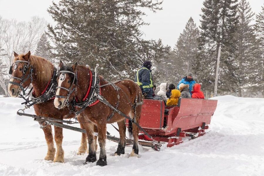 Mont-Tremblant: Sleigh Ride w/ Storytelling & Hot Chocolate - What the $44 price really covers