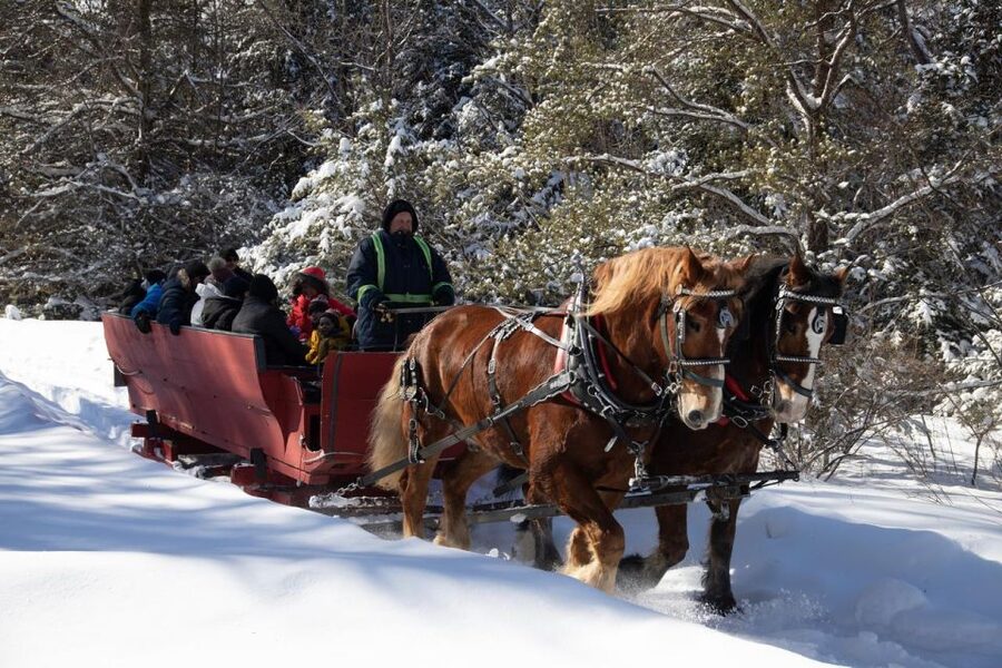 Mont-Tremblant: Sleigh Ride w/ Storytelling & Hot Chocolate - Who will enjoy this outing most