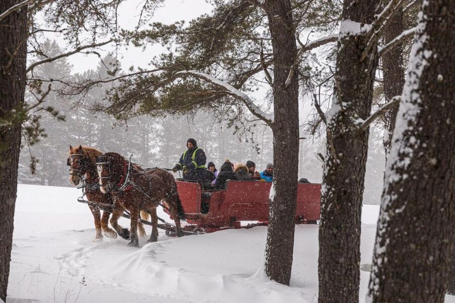 Mont-Tremblant: Sleigh Ride w/ Storytelling & Hot Chocolate - Should you book the Mont-Tremblant sleigh ride?