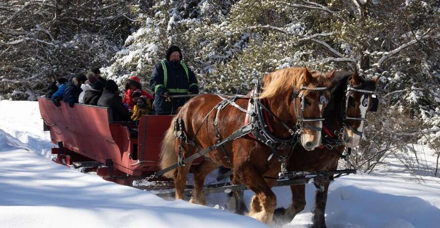 Mont-Tremblant: Sleigh Ride w/ Storytelling & Hot Chocolate - From Chemin Champagne to the open fields