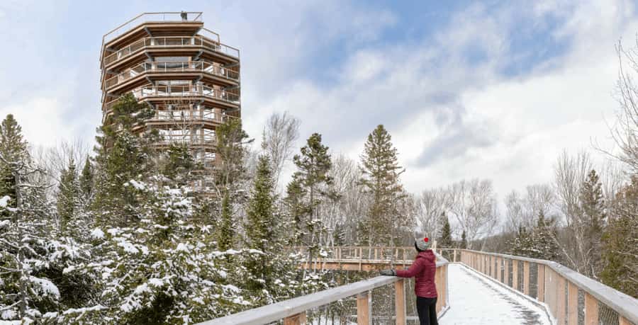 Mont-Tremblant: Treetop Observatory and Self-Guided Walk - The Walk Begins in a Former Fish Hatchery