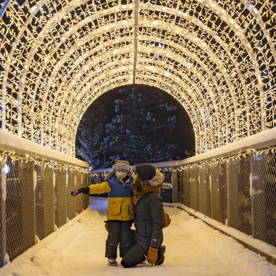 Mont-Tremblant: Treetop Observatory and Self-Guided Walk - The 40-Meter Tower Is the Main Event