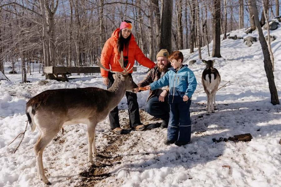 Montebello, QC: General Admission to Parc Omega - Driving into Parc Oméga near Montebello