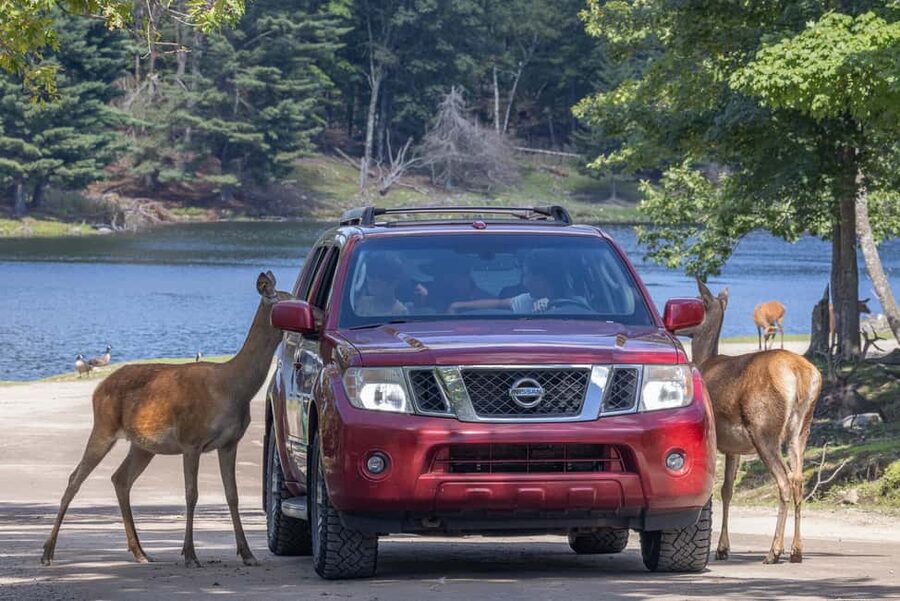 Montebello, QC: General Admission to Parc Omega - The First Nations Trail and Quebec’s past